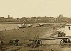 Lower Marine Terrace  [Albumin Print]